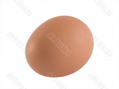 brown egg