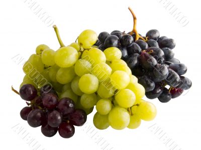 Fresh red, black and green grapes