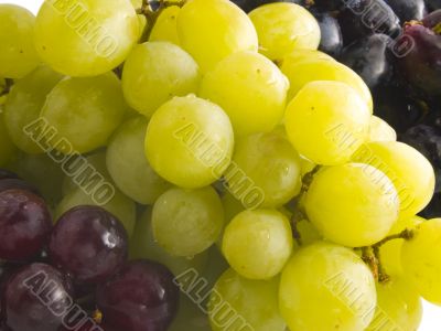 fresh red, black and white grapes