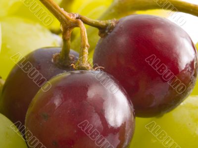 fresh red and white grapes