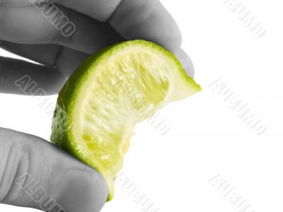 lime squeeze