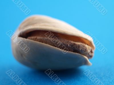 pistachio