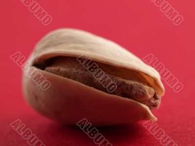 pistachio