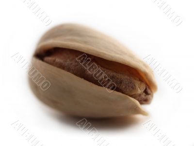 pistachio