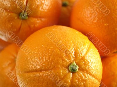 oranges