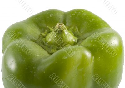 green bell pepper