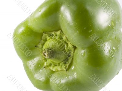 green bell pepper