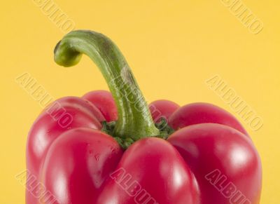 red bell pepper
