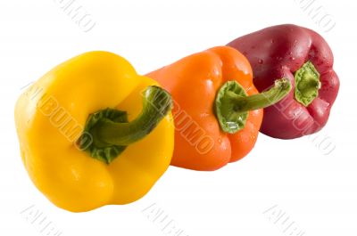 Fresh Red Orange and Yellow Bell Peppers