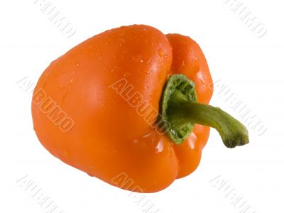 Fresh Orange Bell Pepper