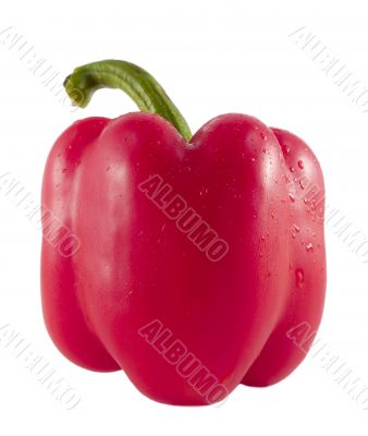 red bell pepper