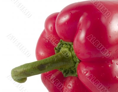 red bell pepper