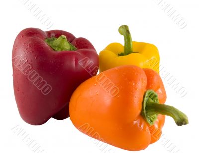 Fresh Red Orange and Yellow Bell Peppers