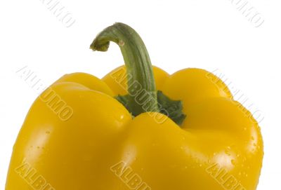 yellow bell pepper