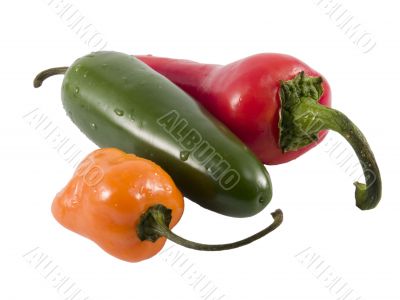 hot peppers
