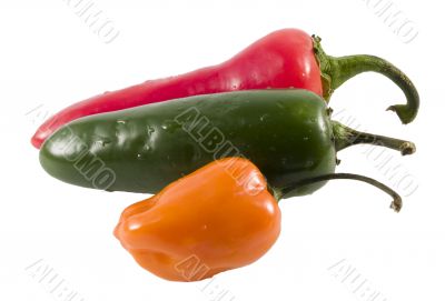hot peppers