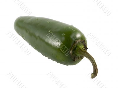 jalapeno pepper