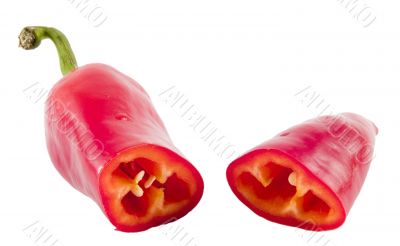 red hot chili pepper