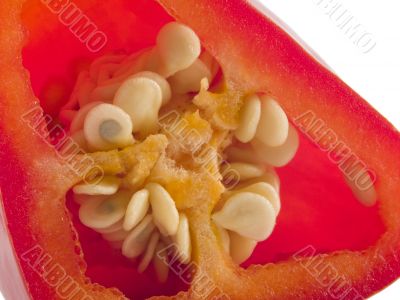 red hot chili pepper seeds