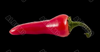 red hot chili pepper