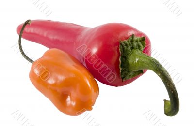 hot peppers