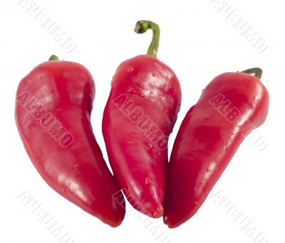 red hot chili peppers