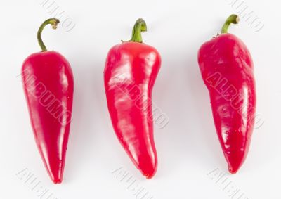 red hot chili peppers
