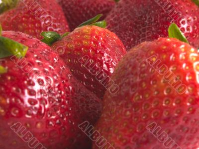 strawberry?s close up