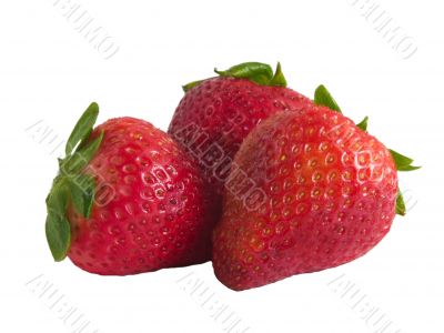 three fresh strawberrry`s