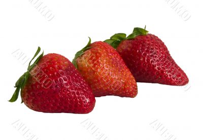 three fresh strawberrry`s