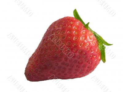 fresh strawberrry