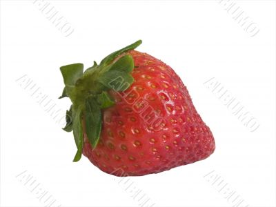 fresh strawberrry