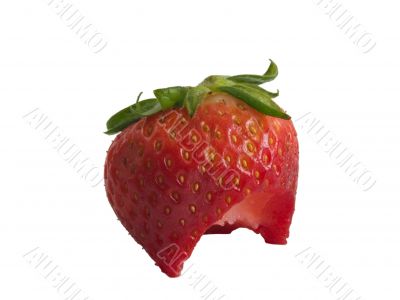 fresh strawberrry