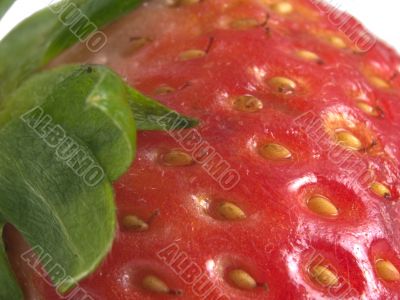 strawberrry stem