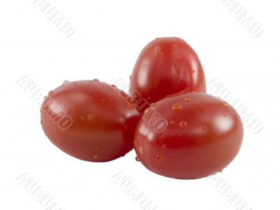 Grape Tomato Close Up