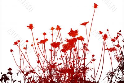 floral style textures