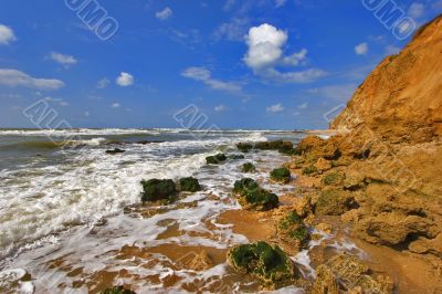 The stones covered by seaweed