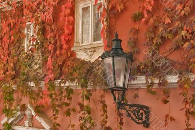 Wall of the old house.