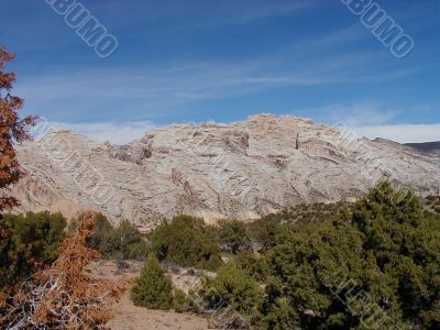 Go Outside and Enjoy