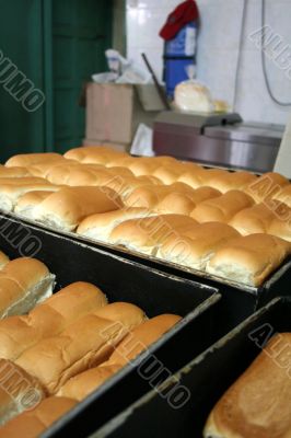 Bakery bread