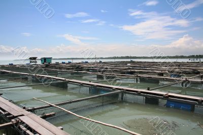 Fish farm