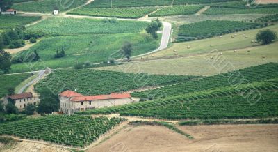 Langhe 3