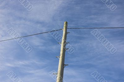Telephone pole