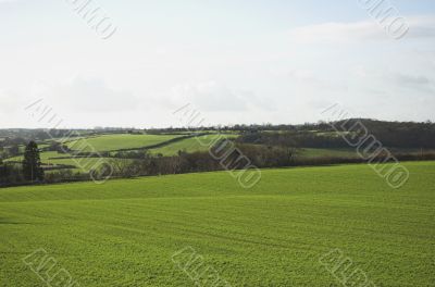 Rural England
