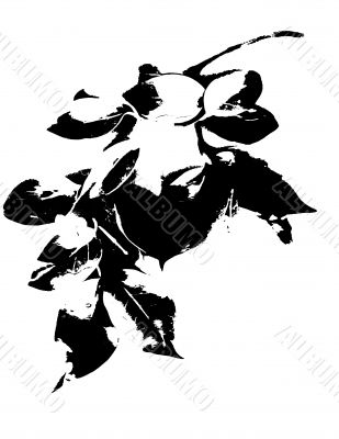 Shabby vintage type backgrounds