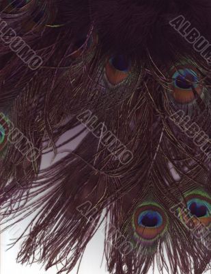 Shabby vintage type backgrounds