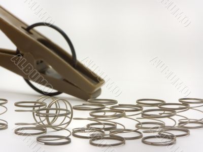 Clip with springs