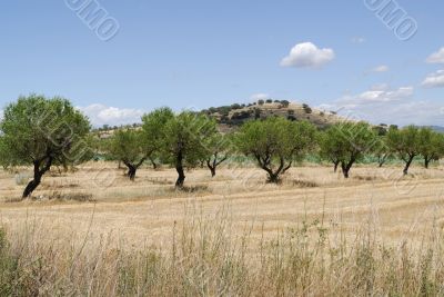 Monzon-Balaguer