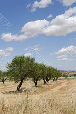 Monzon-Balaguer 2