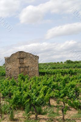 Narbonne-Carcassonne 4